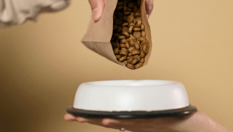 Köpekler için doğru mama